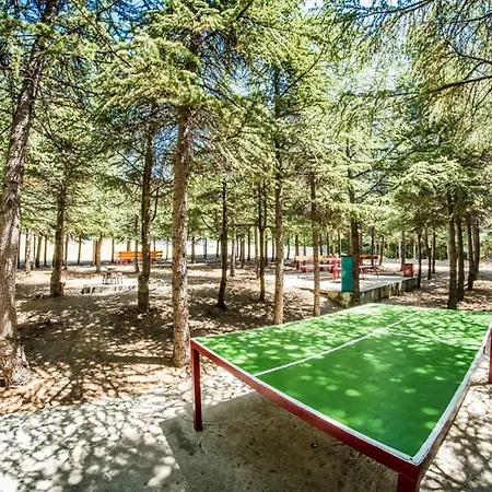 Crown Fort Black Coast Studio Apartment 아파트